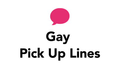 gay pickup lines