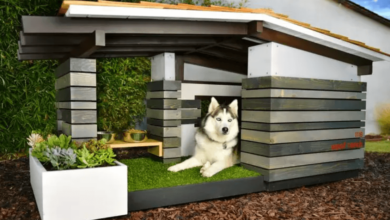 Design Features of Luxury Dog House