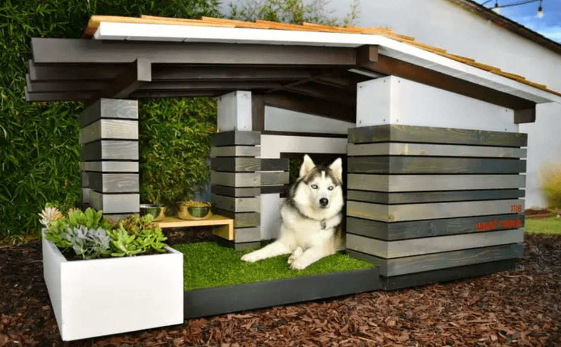 Design Features of Luxury Dog House