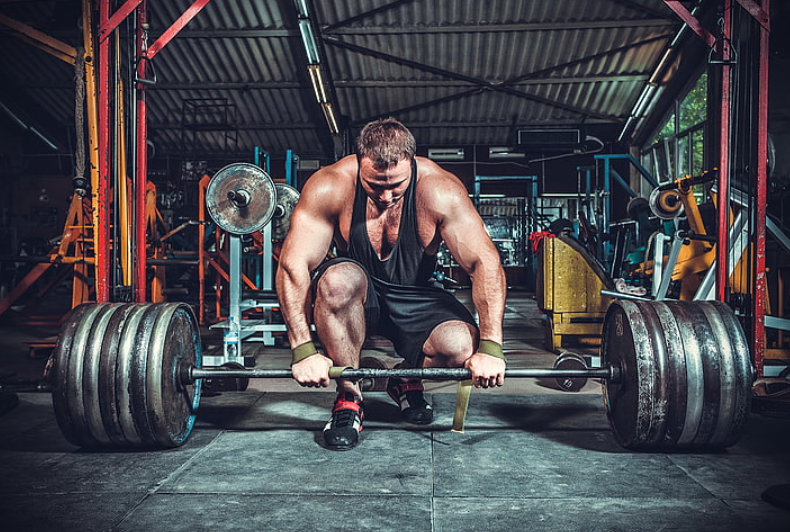 Smart Buying Guide for Plate Loaded Gym Equipment for Sale
