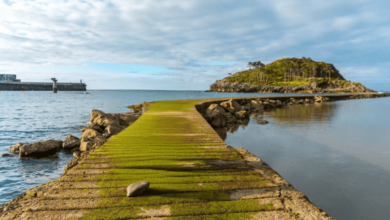 Auckland's Hidden Gems