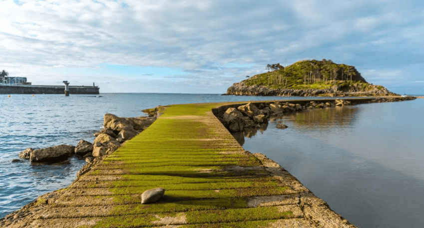 Auckland's Hidden Gems