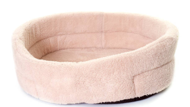 Memory Foam Bed The Ultimate Guide to Comfort, Health, and a Better Night’s Sleep 