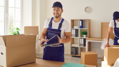 Storage & Removals: Learn More About Safe and Efficient Solution