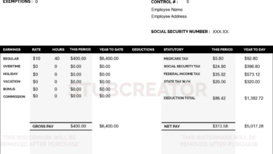 What Makes a Good Employee Pay Stub Template?