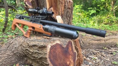 Pinty Airguns: A Complete Guide to PCP Air Rifles for Beginners