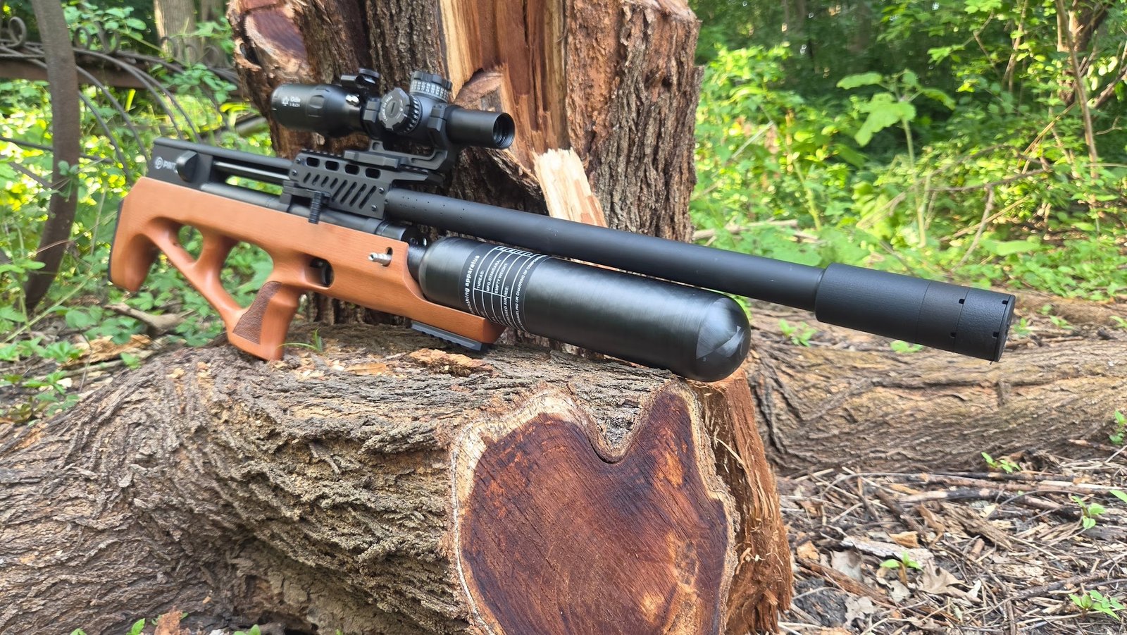 Pinty Airguns: A Complete Guide to PCP Air Rifles for Beginners